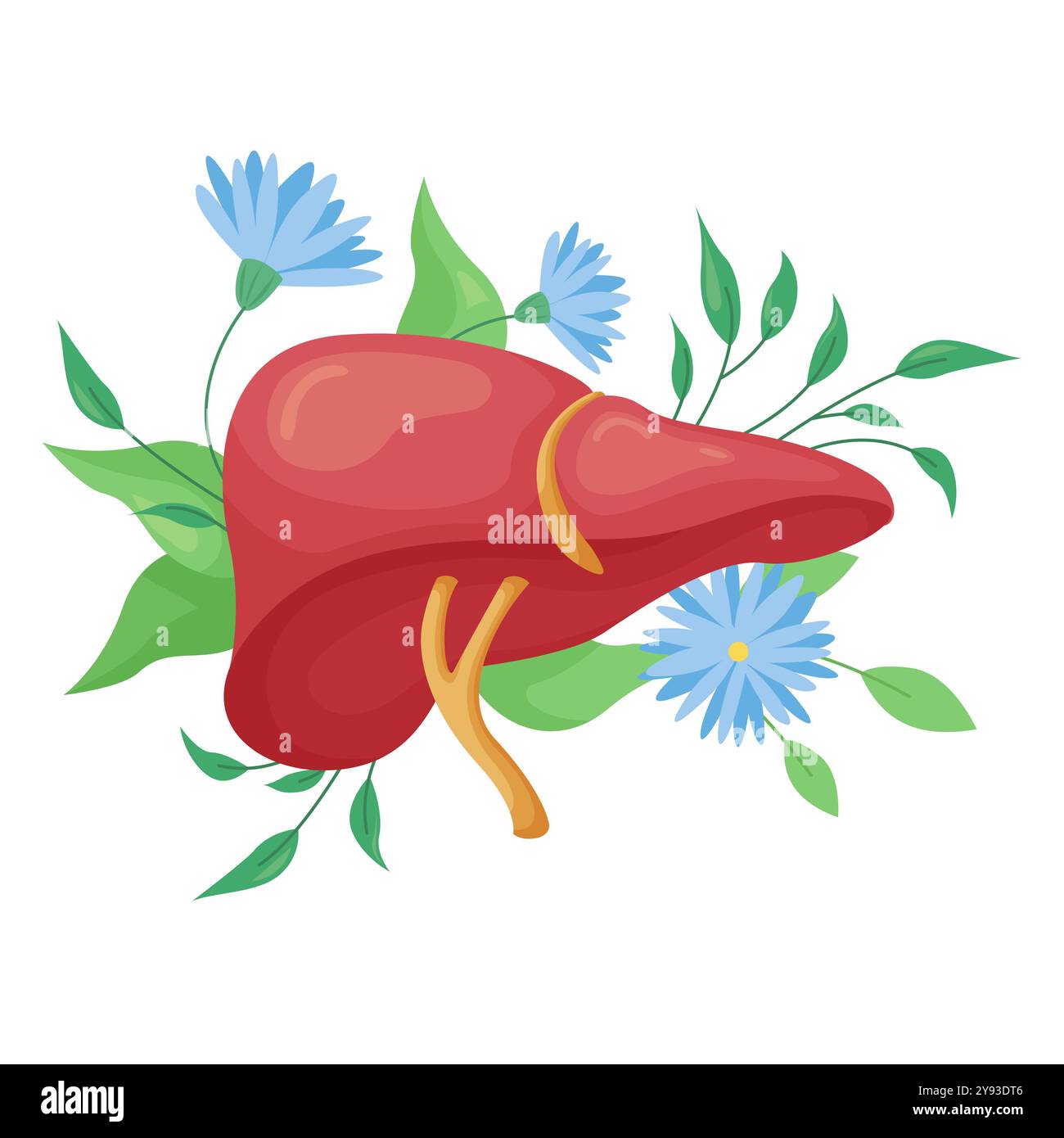 Human healthy liver with blue flowers and leaf, hepatic system organ ...