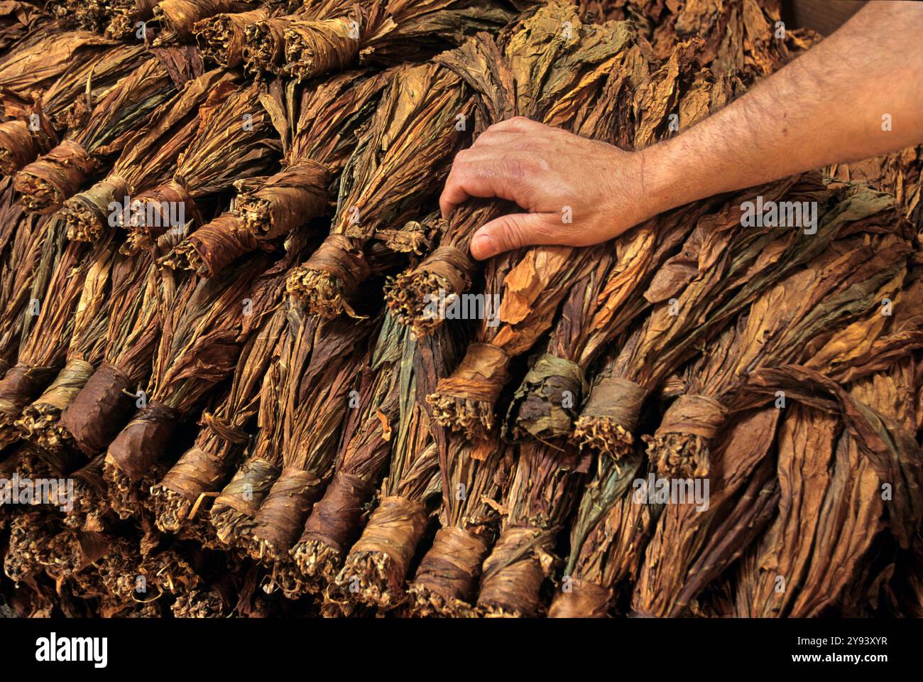 can you buy tobacco at 18 in south carolina Did you know? The Tobacco 21 law raises the legal age to buy tobacco and  vaping products from 18 to 21. Why? To help protect young people from a  lifetime of addiction