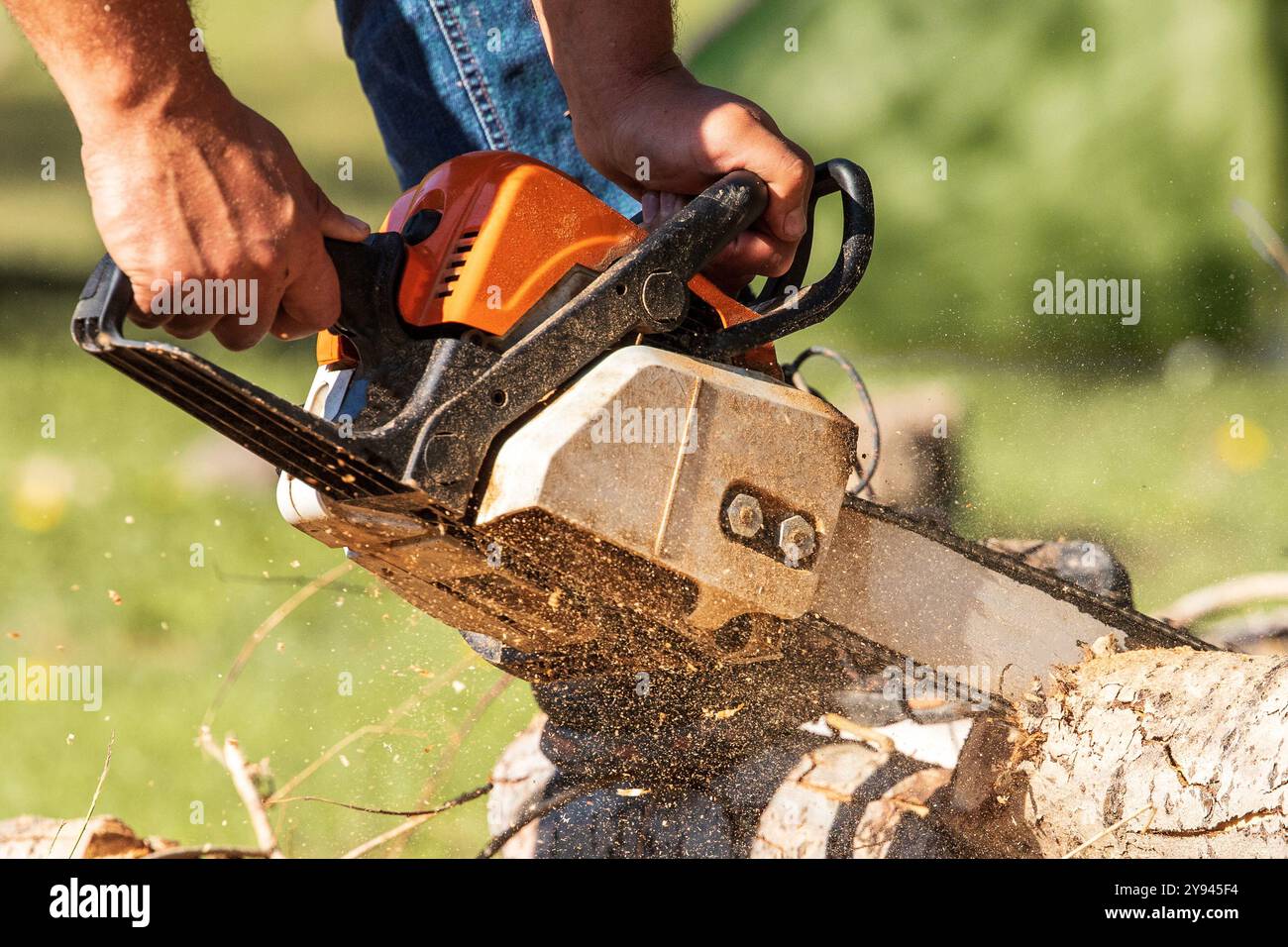 Close up of chain saw cutting logs with sawdust flying outdoors Stock Photo