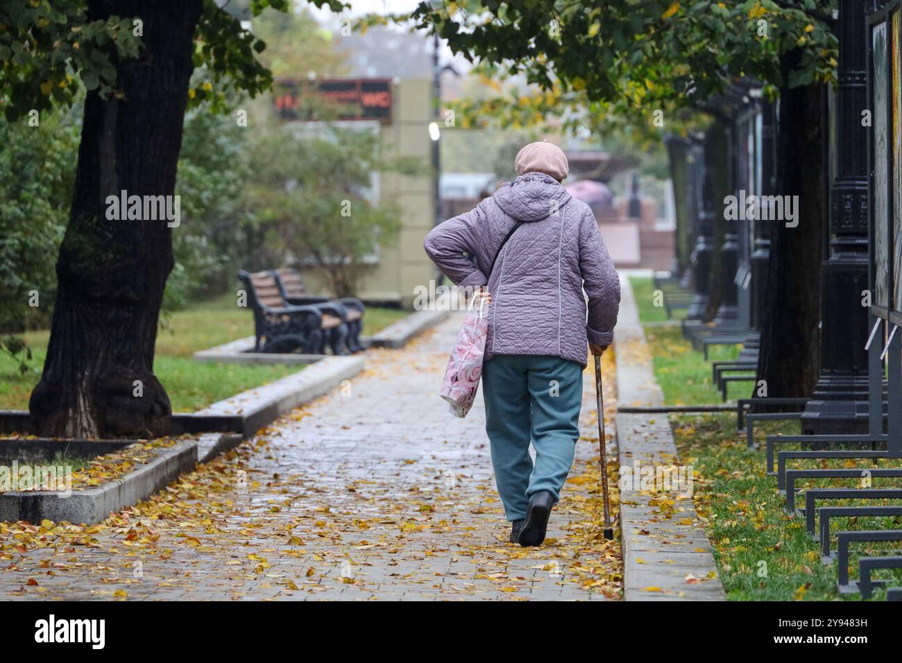 Old woman walking with a cane in autumn park. Limping person, diseases of the spine, life of elderly people Stock Photo