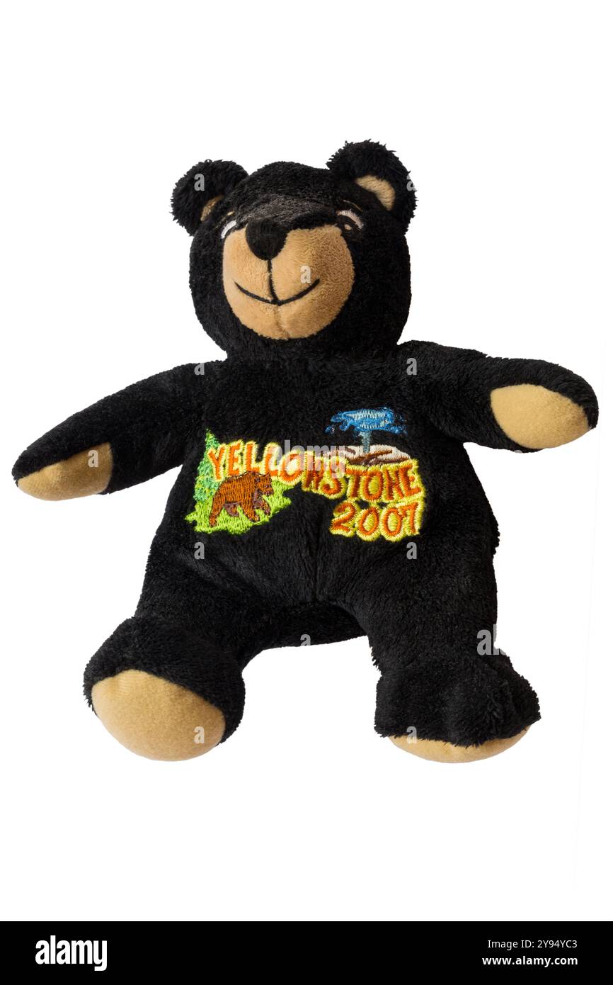 Yellowstone 2007 brown bear soft toy by Souvies isolated on white background - souvenir from Yellowstone National Park Stock Photo