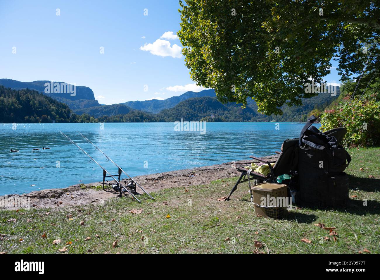 Fisherman life with two fishing rods and a foldable chair at Lake Bled in the Julian Alps. We see three ducks floating on  the blue body of water in a Stock Photo