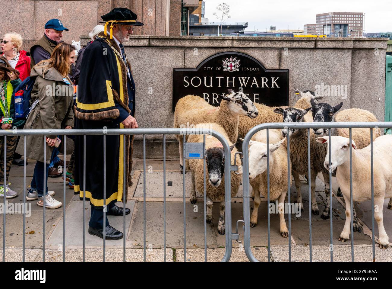 Sheep drive and livery fair hi-res stock photography and images - Alamy