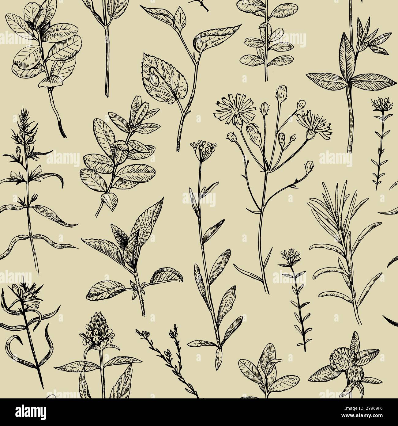 Wild flowers vector vectors hi-res stock photography and images - Alamy