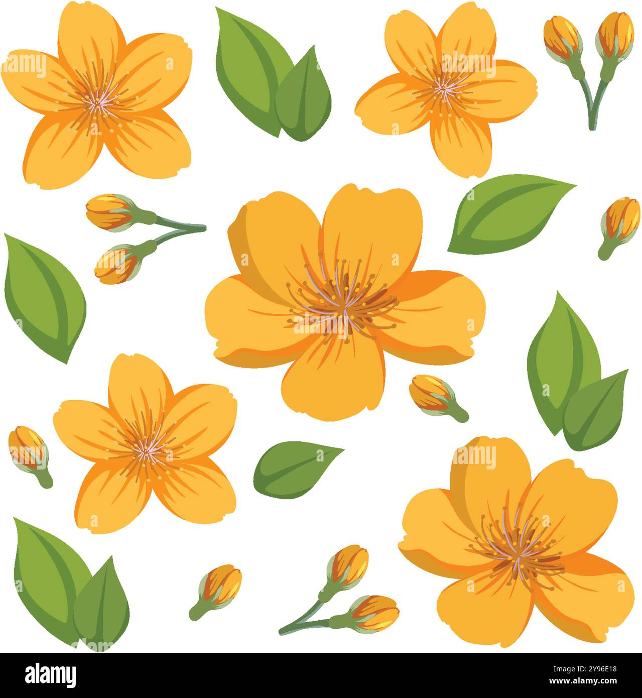Orange lush flowers Stock Vector Images - Alamy