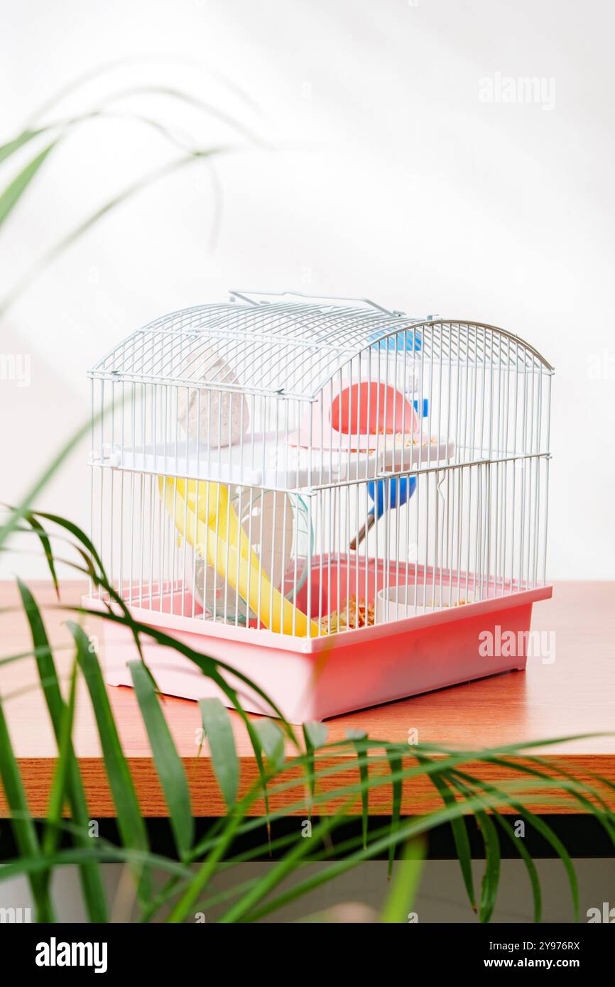 A vibrant hamster cage with wheels and accessories set against a ... - Vibrant Arch Hamster Enclosure