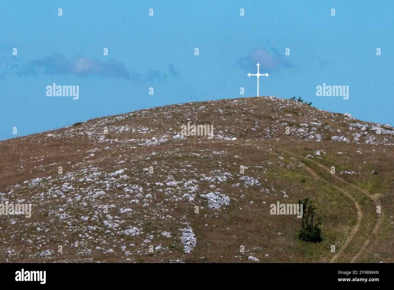 Answered: Your Most Burning Questions About Stelariocasino Italia