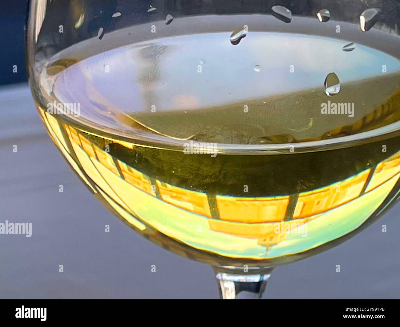Glass of white wine. Close view. - Smartphone Captured Stock Image