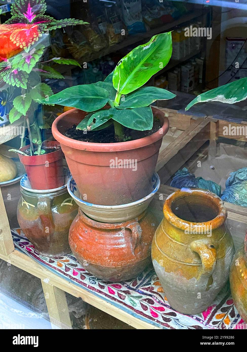 Ceramic pots. - Smartphone Captured Stock Image