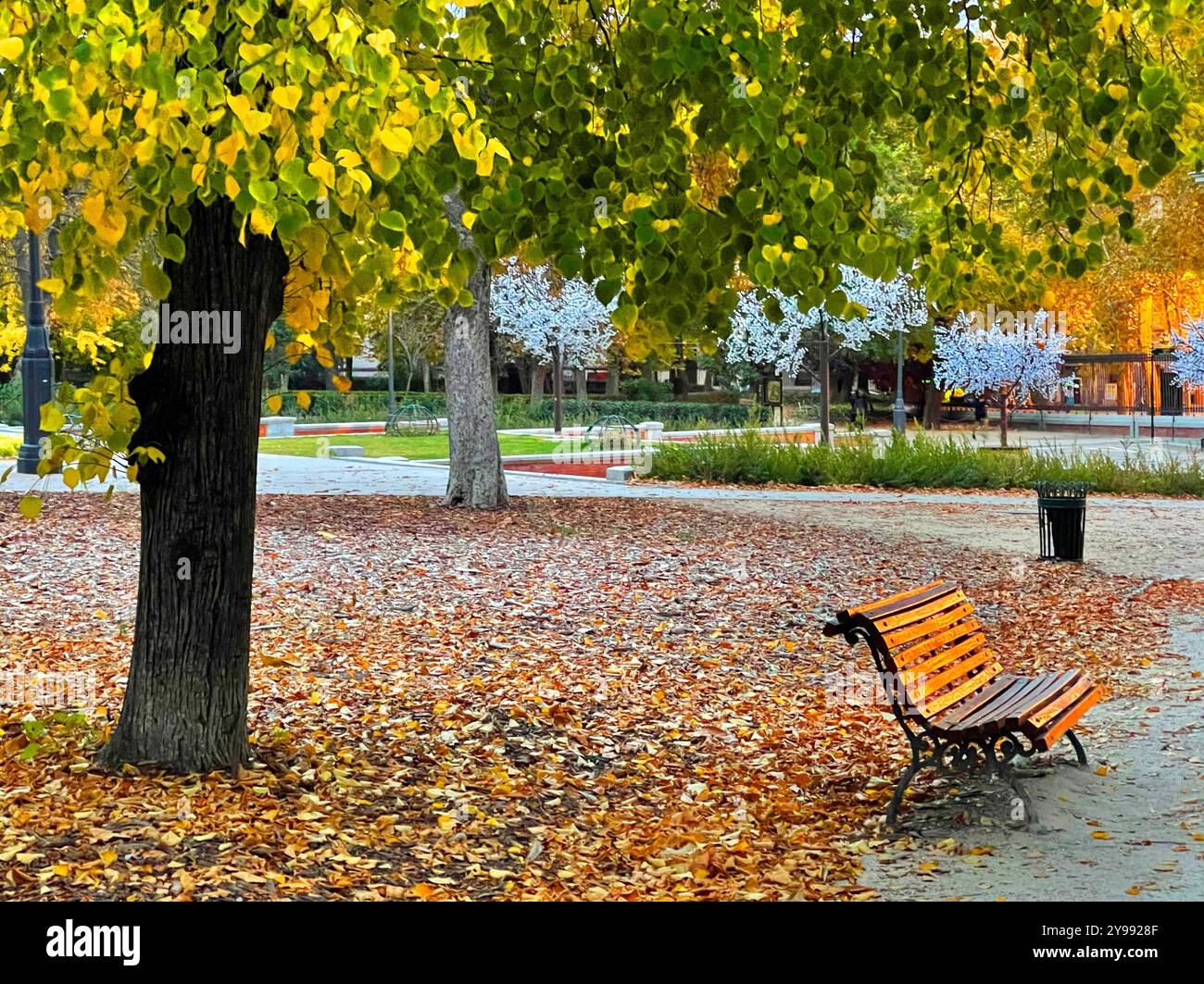 Autumn landscape. El Retiro park, Madrid, Spain. - Smartphone Captured Stock Image