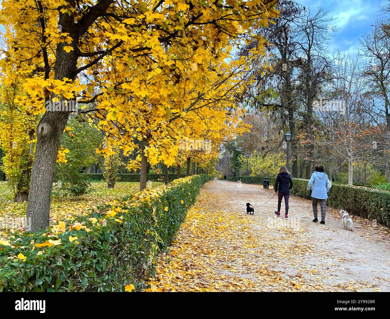 El Retiro park in Autumn. Madrid, Spain. - Smartphone Captured Stock Image