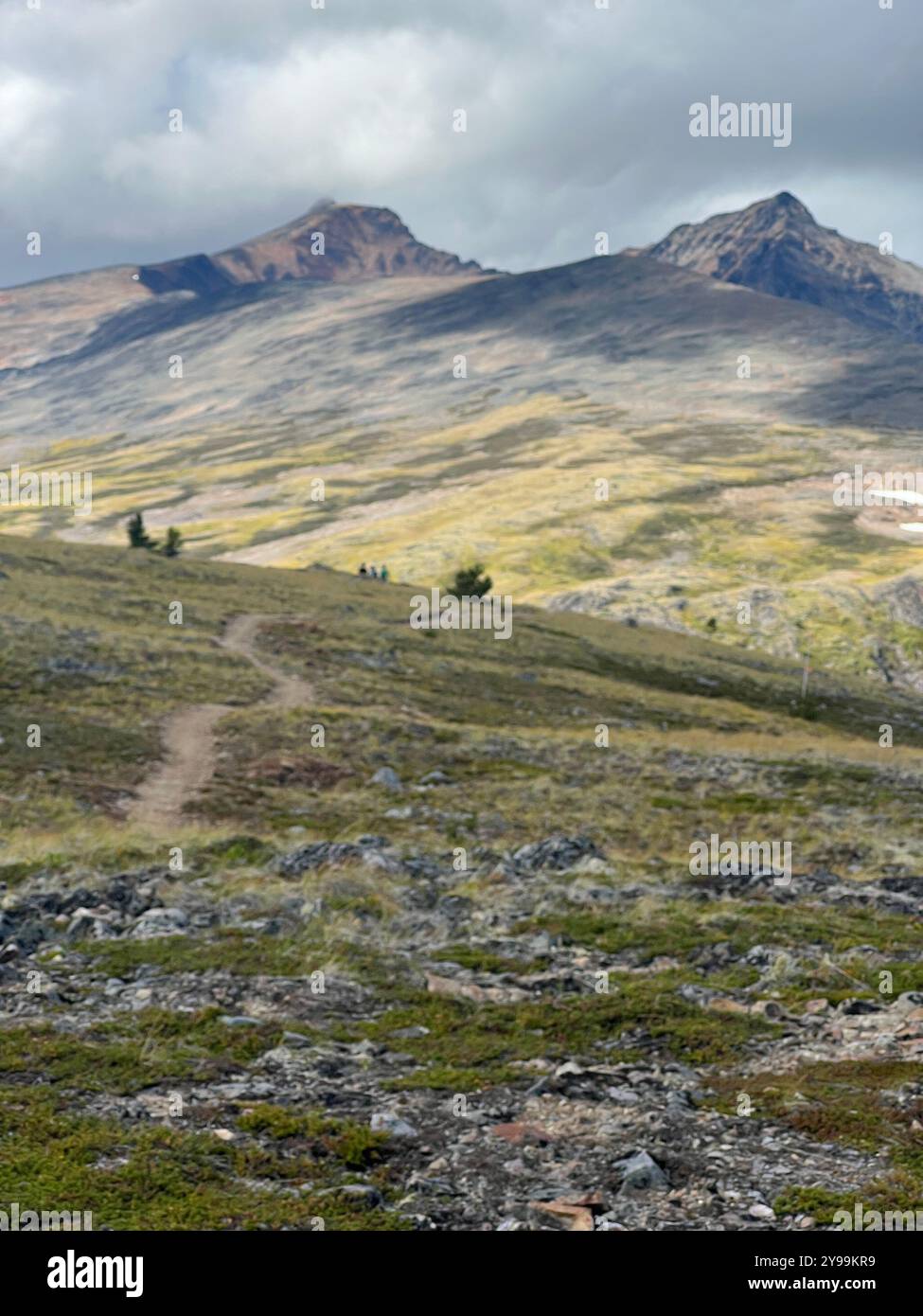 Hiking trail on Hudson Bay Mountain, British Columbia, Canada, showcasing rugged alpine terrain, rocky landscape, and distant peaks under cloudy skies - Smartphone Captured Stock Image