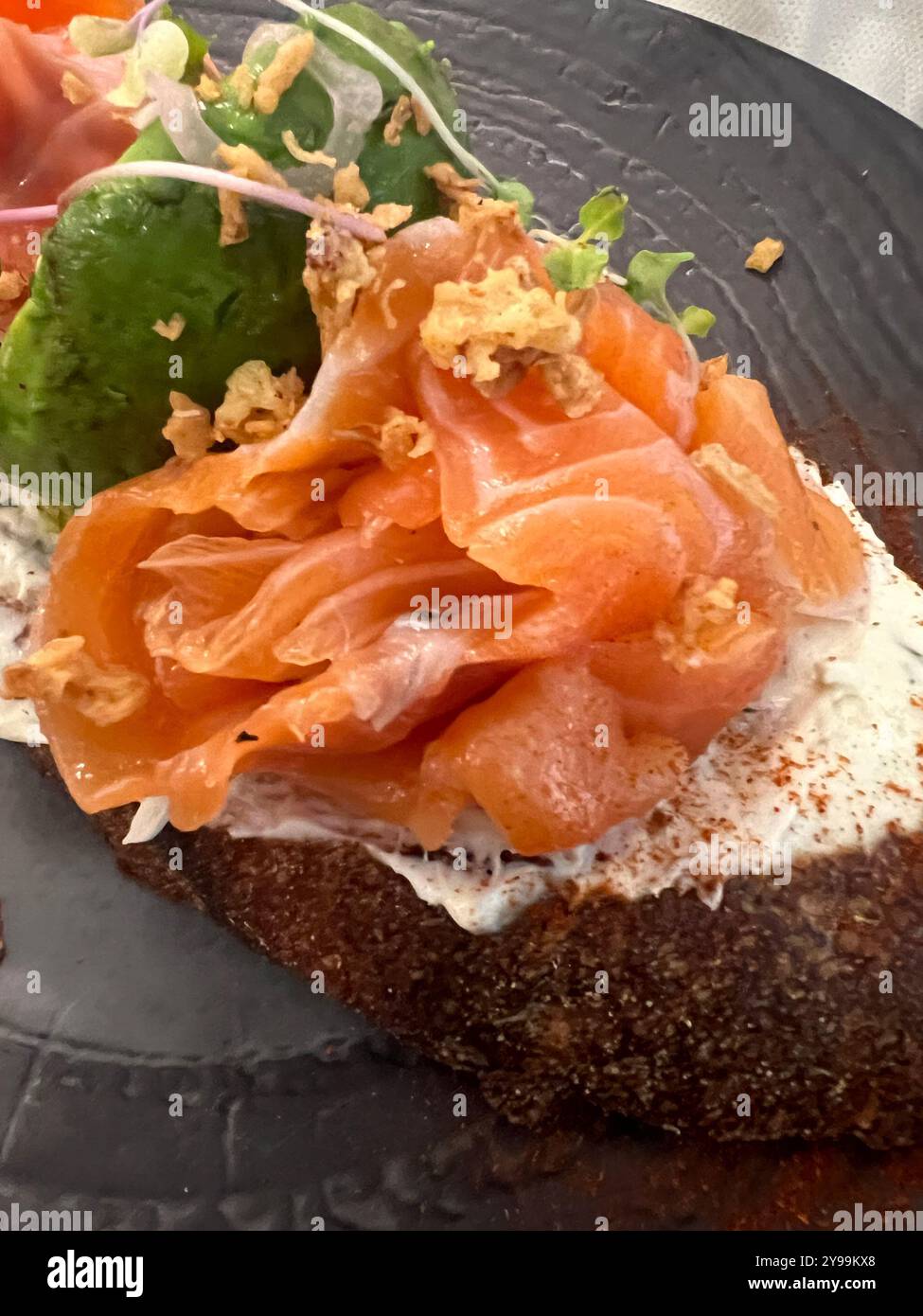 Smoked salmon served on a toasted dark rye bread with cream cheese, avocado, and crispy onions, offering a gourmet twist on a classic dish - Smartphone Captured Stock Image