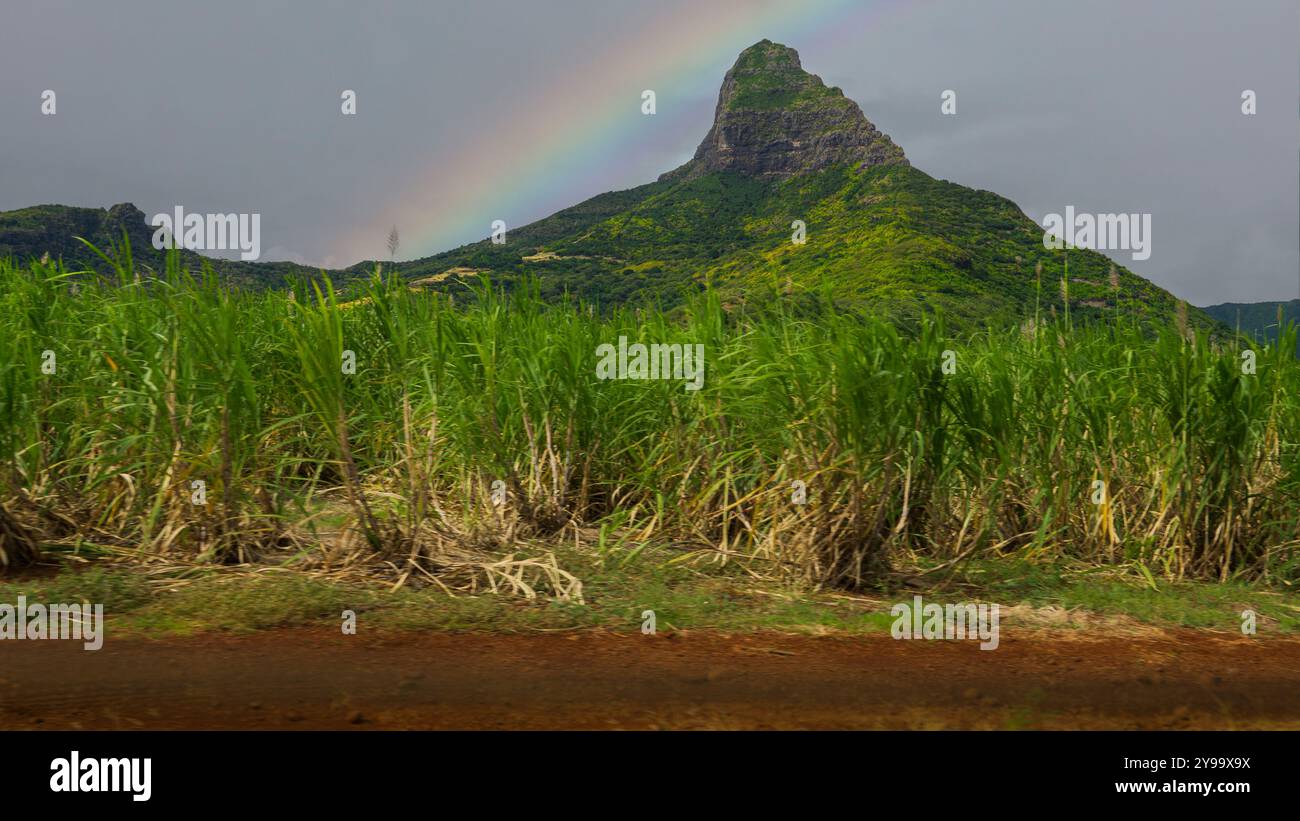 Mauritius rainbow rock hi-res stock photography and images - Alamy