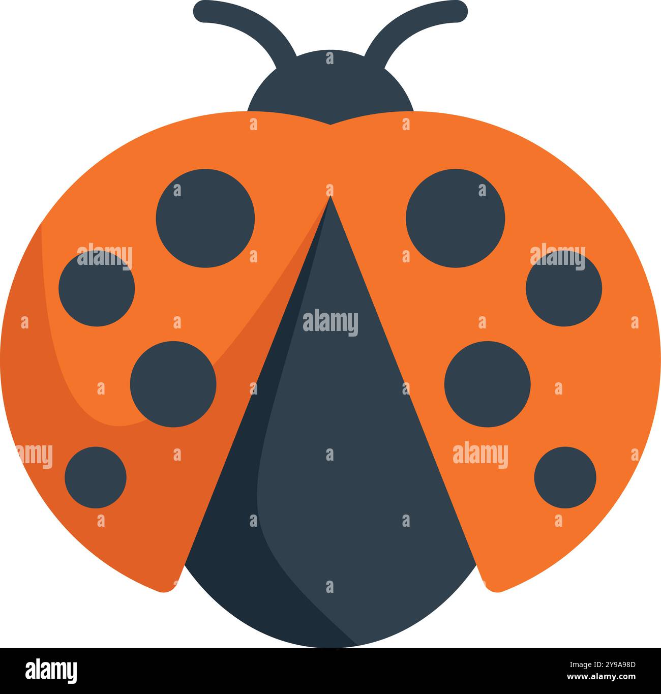 Cute ladybug is opening its wings, revealing its delicate underwings ...
