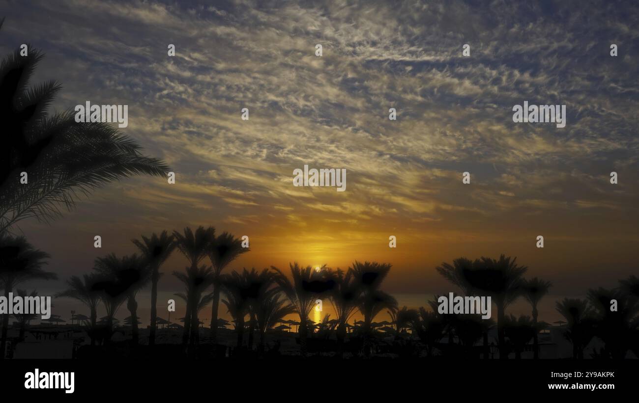 Beautiful landscape with palms on resort beach and sunrise over sea Stock Photo