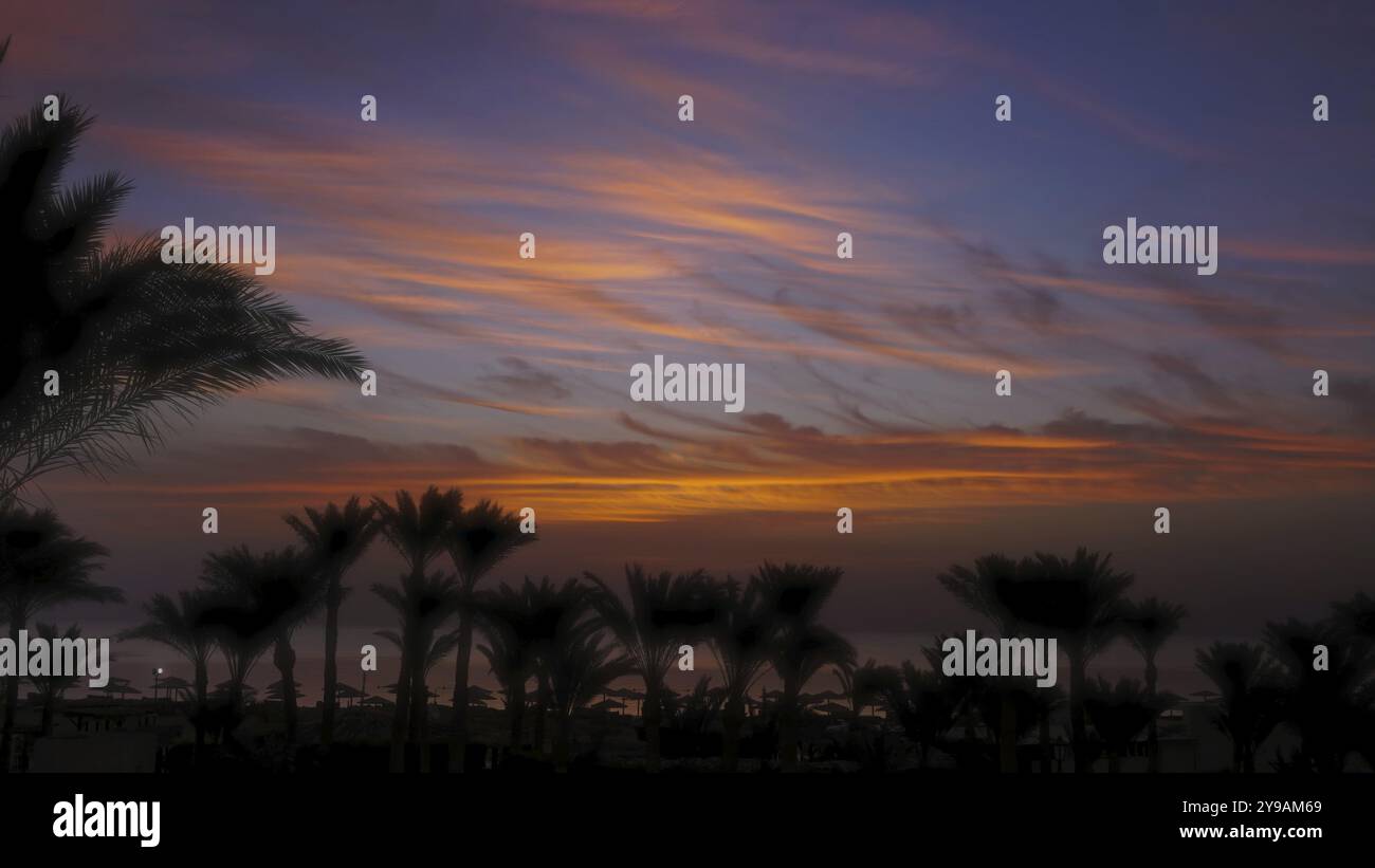 Beautiful landscape with palms on resort beach and sunrise over sea Stock Photo