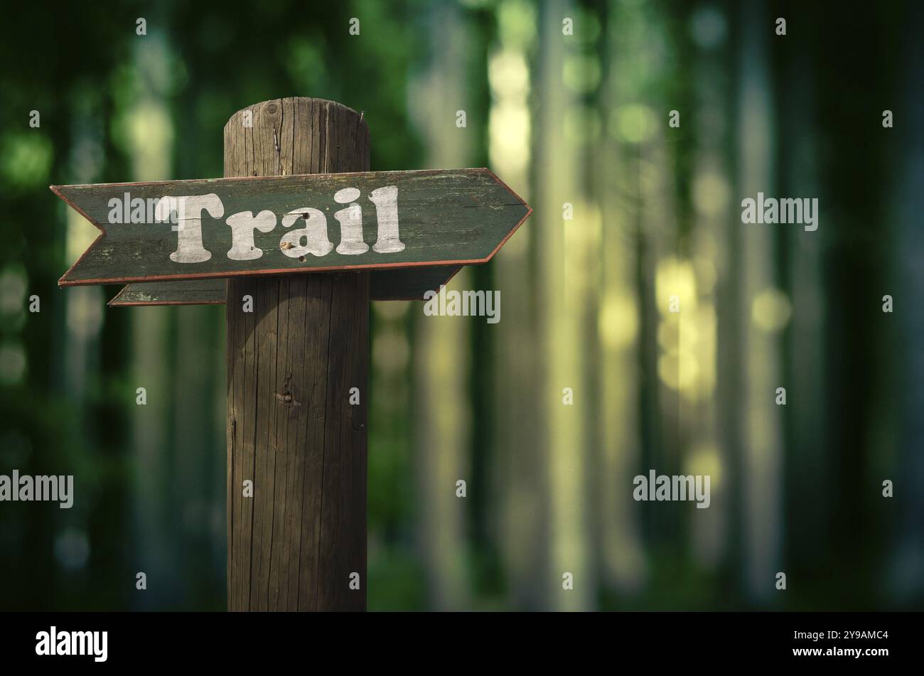 Wooden Trail Sign In A Forest For Hikers Stock Photo - Alamy