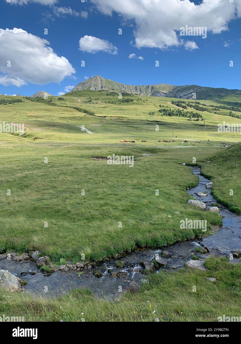 Beautiful greenish landscape - Smartphone Captured Stock Image