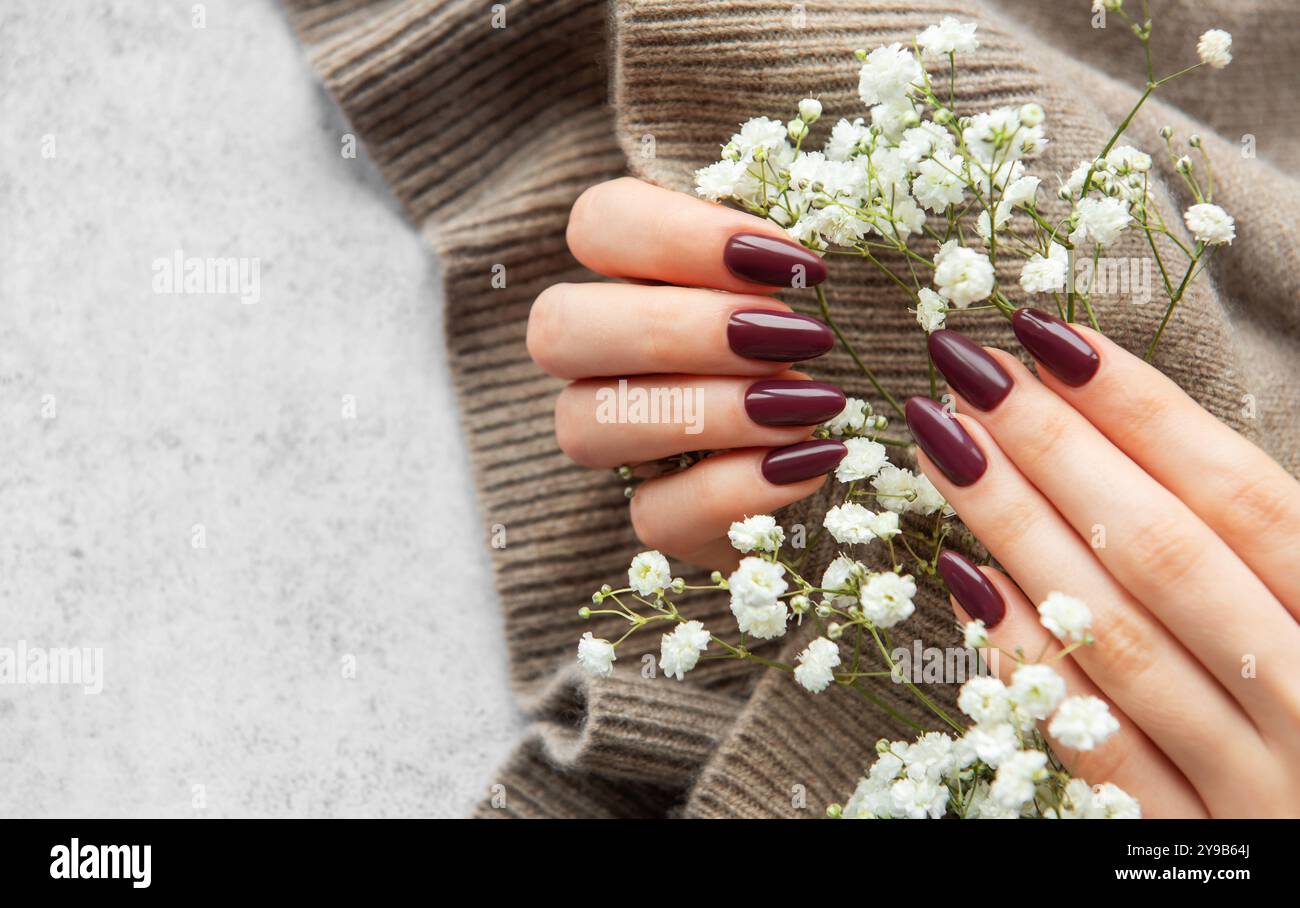 A hand with long, deep burgundy nails gently holds fresh white flowers resting on a soft knitted sweater. The warm texture and color contrast beautifu Stock Photo