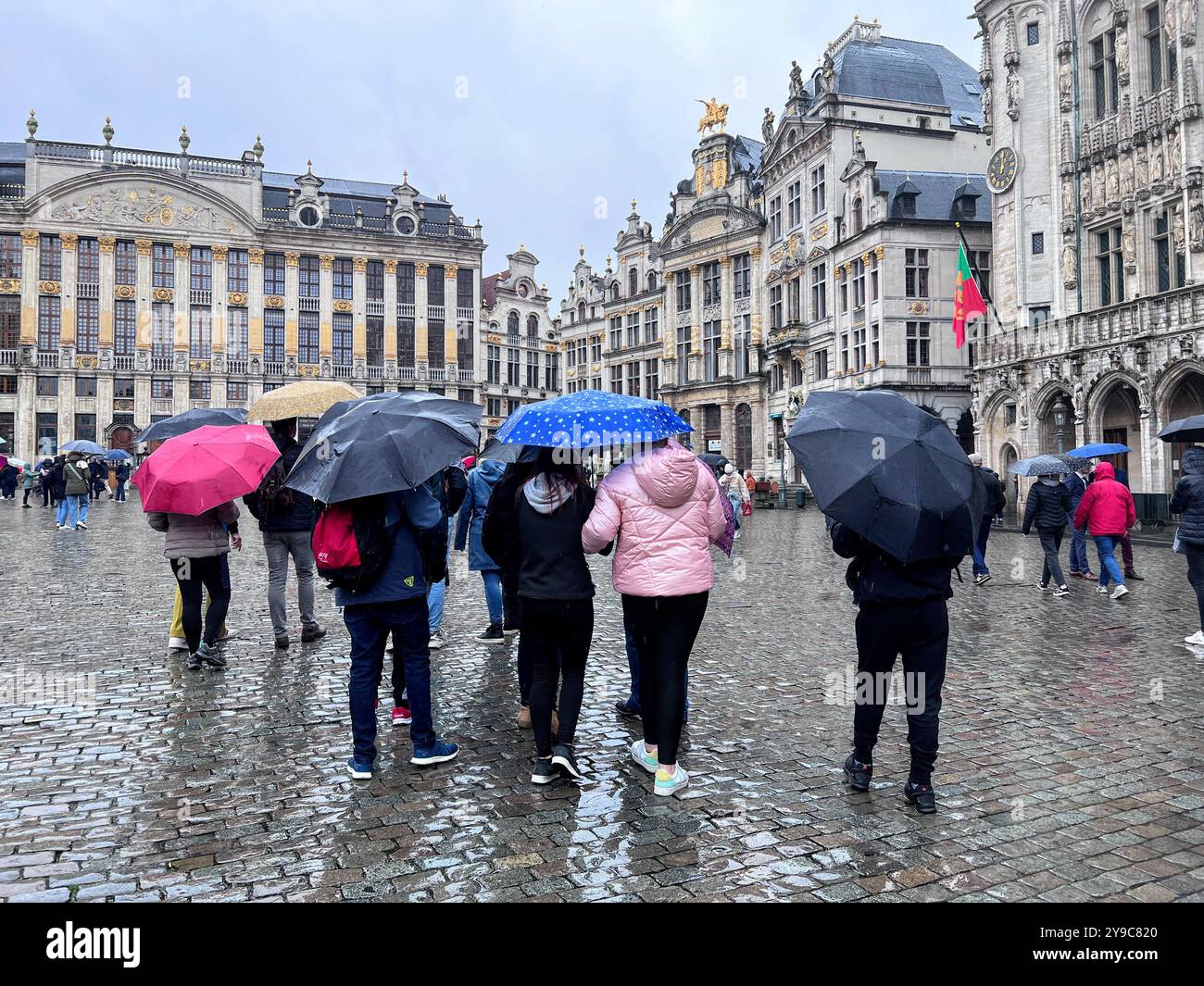 A rainy day in Brussels with people holding umbrellas in the historic Grand Place square, adding a splash of color to the wet cobblestones - Smartphone Captured Stock Image