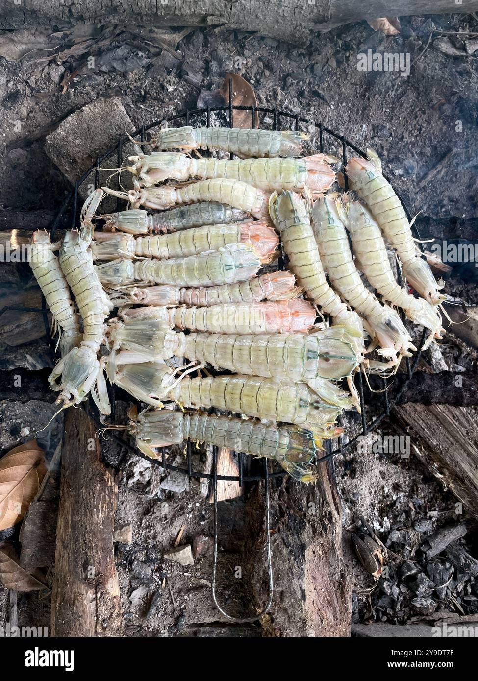 silver mantis shrimp grilling over an open wood fire on a barbecue. The shrimp's unique metallic sheen glistens in the flames. - Smartphone Captured Stock Image
