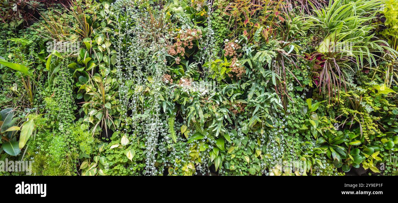 Tropical garden design hi-res stock photography and images - Alamy