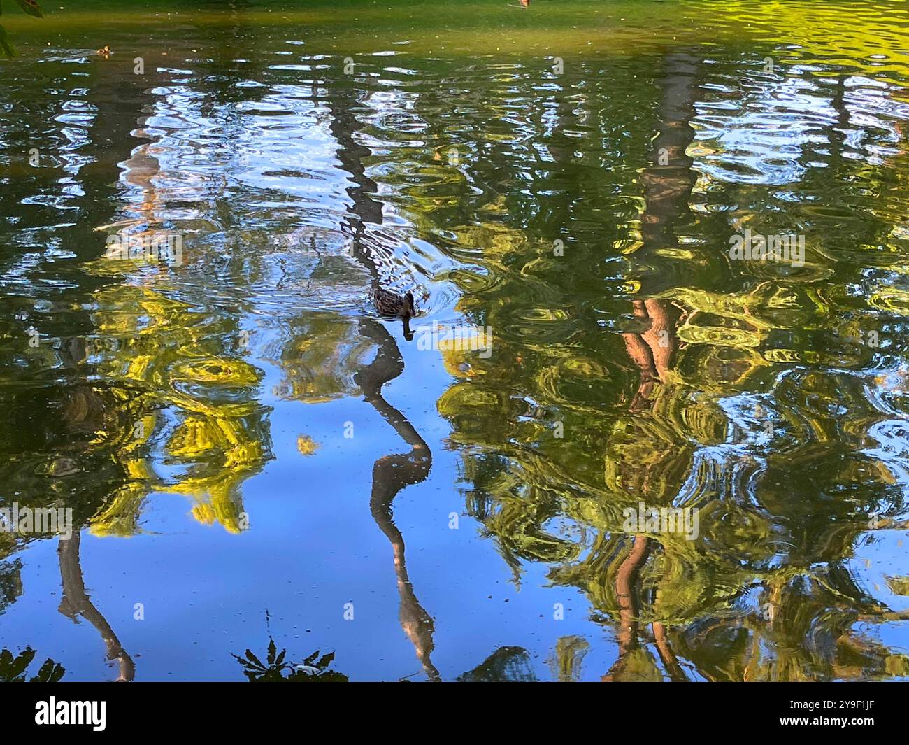 Reflections on water. - Smartphone Captured Stock Image