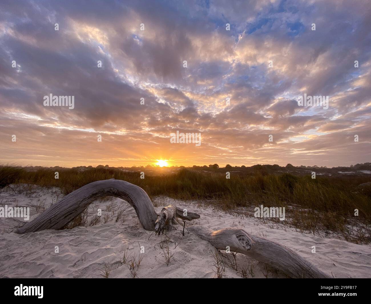 Little Talbot Sunset, Little Talbot Island, Florida - Smartphone Captured Stock Image