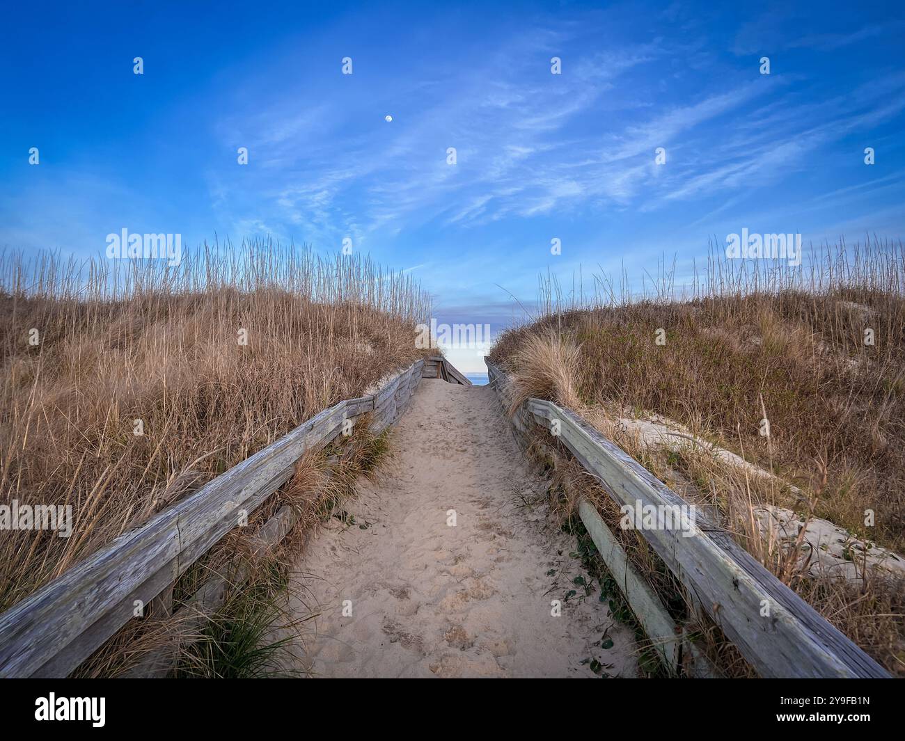 Moon Over Sand Dune Path, Outer Banks, North Carolina - Smartphone Captured Stock Image