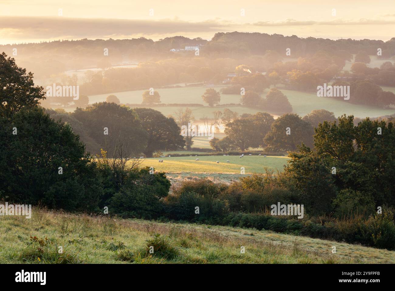 Misty sunrise view over High Weald landscape, Burwash, East Sussex, England, United Kingdom, Europe Stock Photo