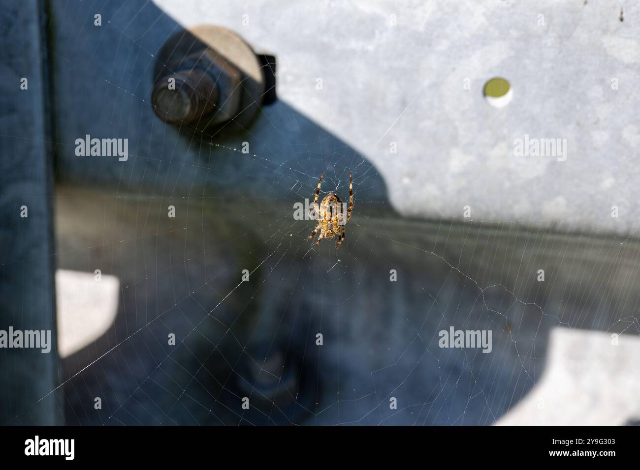 Web of guardrail hi-res stock photography and images - Alamy