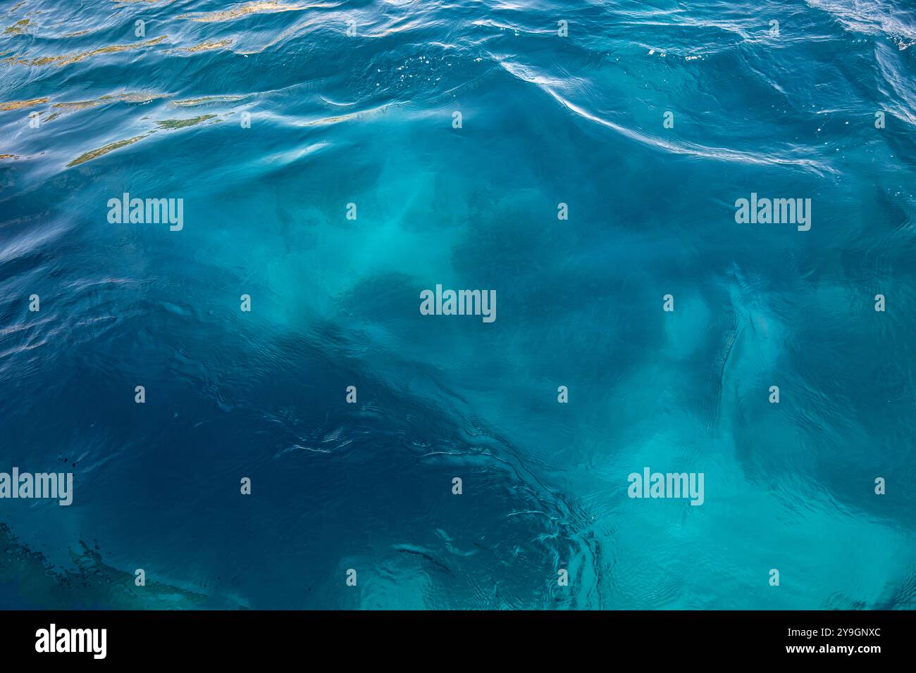 Mer Transparente Paysage marin sous marin hi-res stock photography and images - Alamy