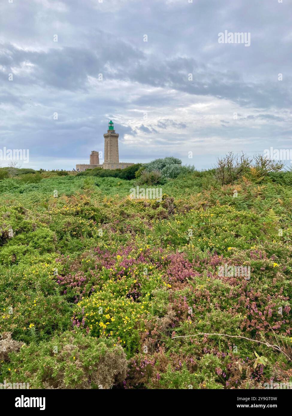 Heather landscape at Cap Frehel with the lighthouse in the background against a cloudy summer sky - Smartphone Captured Stock Image