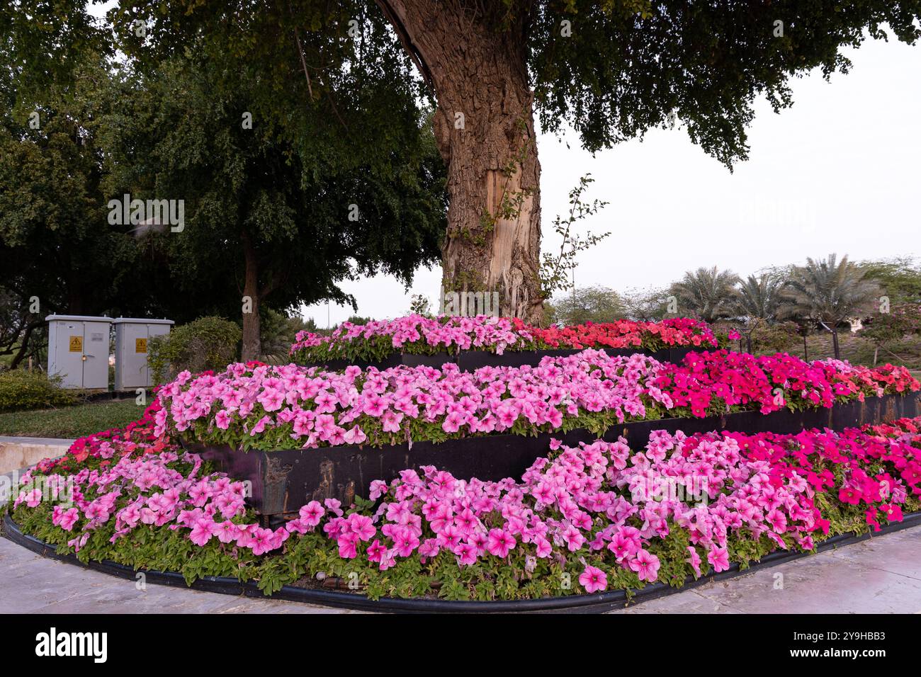 Al Rasheed Park Beautiful image of Al Shaheed Park, Kuwait Stock Photo - Alamy