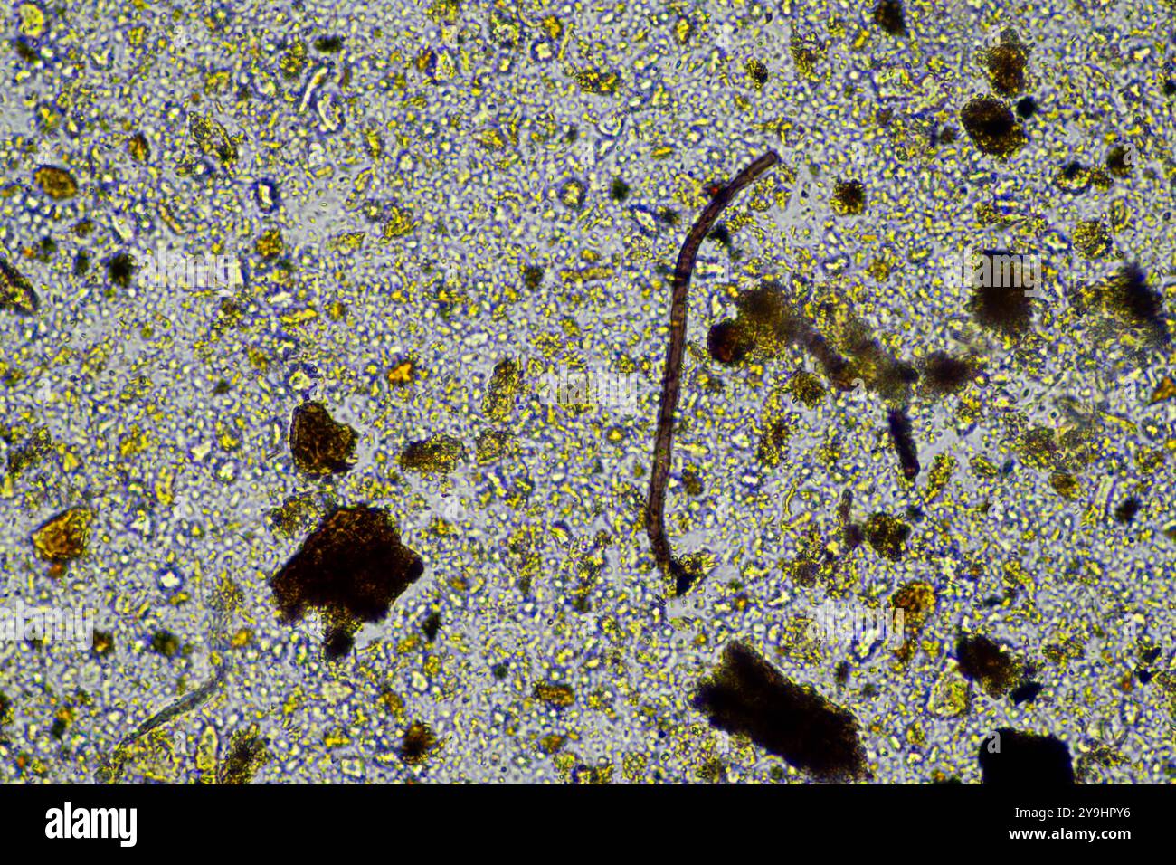 microorganisms and soil biology, with nematodes and fungi under the ...