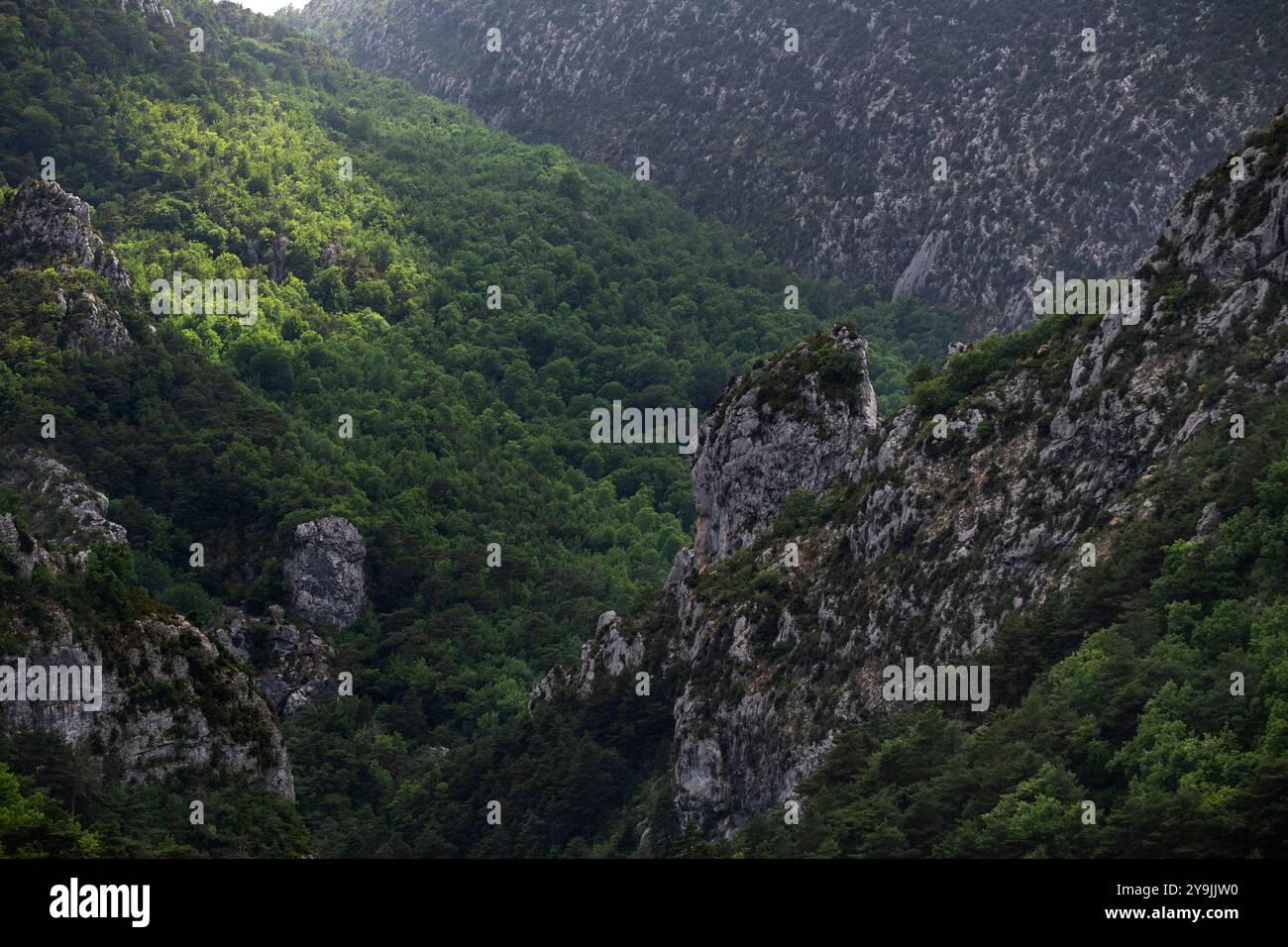 Verdant Cliffs and Dense Vegetation in the Verdon Gorge, France Stock Photo