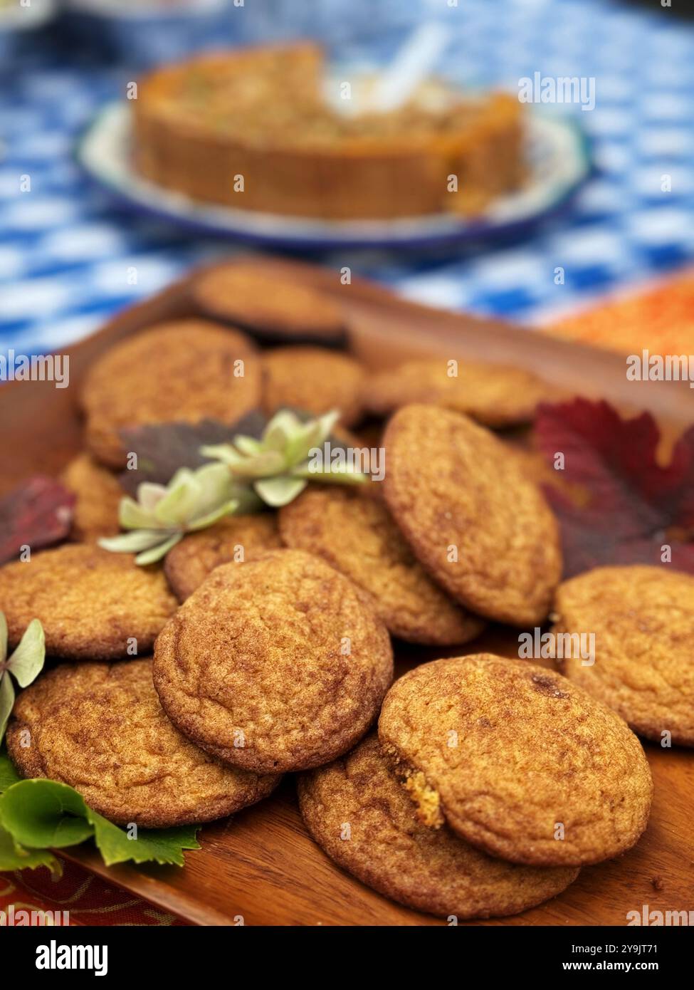 Potluck picnic fair at a neighborhood block party in Berkeley, California. - Stock Image