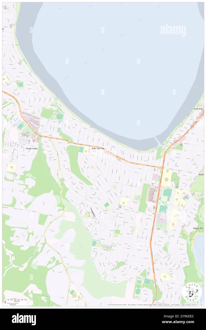 Killarney Vale, Central Coast, AU, Australia, New South Wales, S 33 21' 47'', N 151 27' 28'', map, Cartascapes Map published in 2024. Explore Cartascapes, a map revealing Earth's diverse landscapes, cultures, and ecosystems. Journey through time and space, discovering the interconnectedness of our planet's past, present, and future. Stock Photo