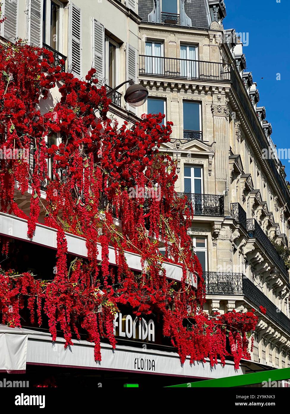 A charming Parisian cafe near the Louvre, called Café Flori Da, adorned with a stunning display of vibrant red flowers cascading over the building - Smartphone Captured Stock Image