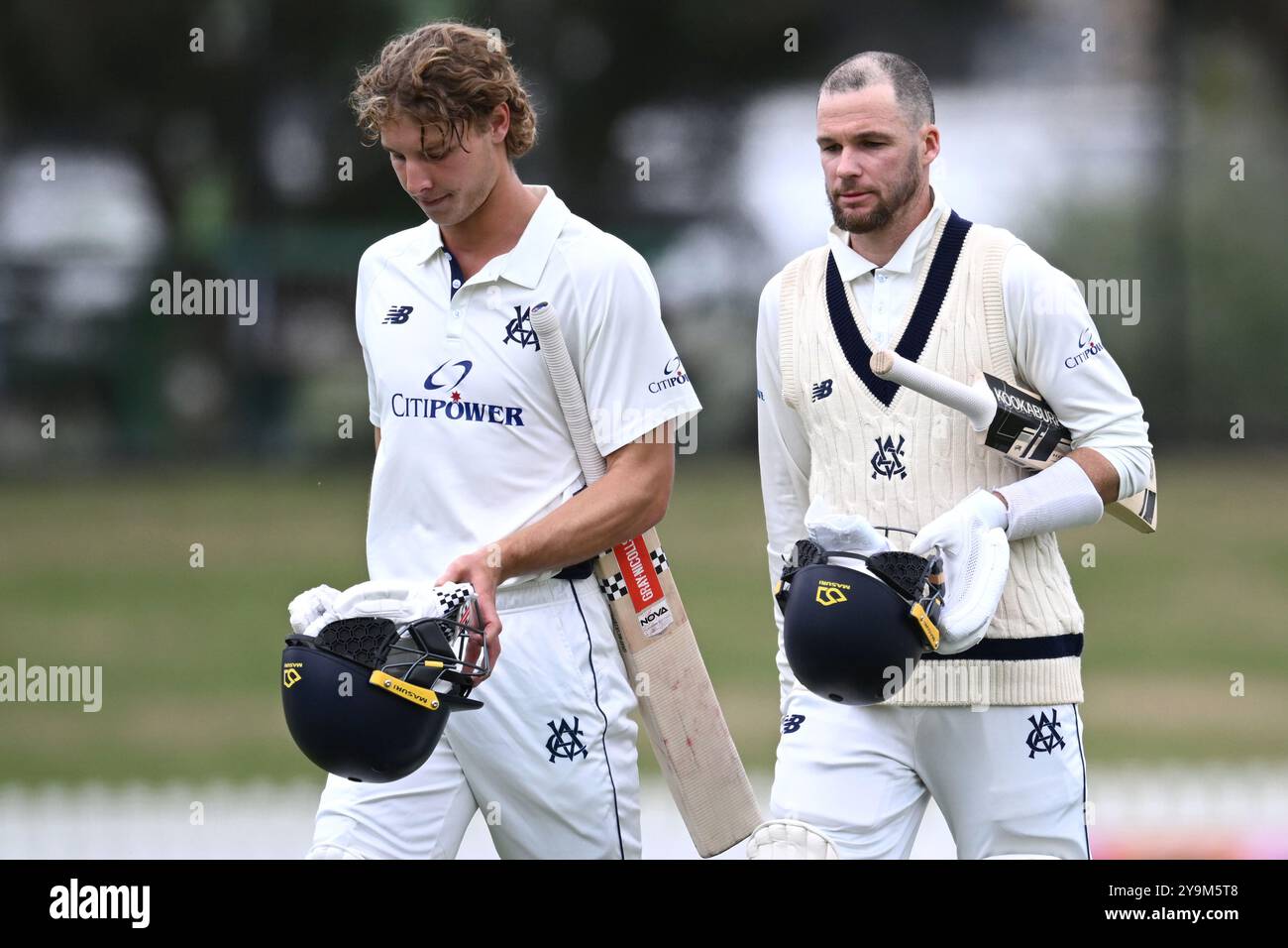 Beautiful Rogers, Handscomb And Murphy Star As Victoria Hammer Queensland Background Photography