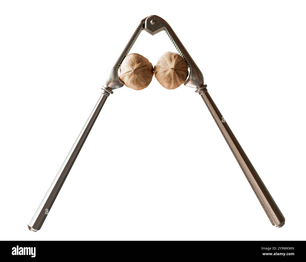 An antique metal nutcracker squeezing two walnuts on an isolated background - 3D render Stock Photo
