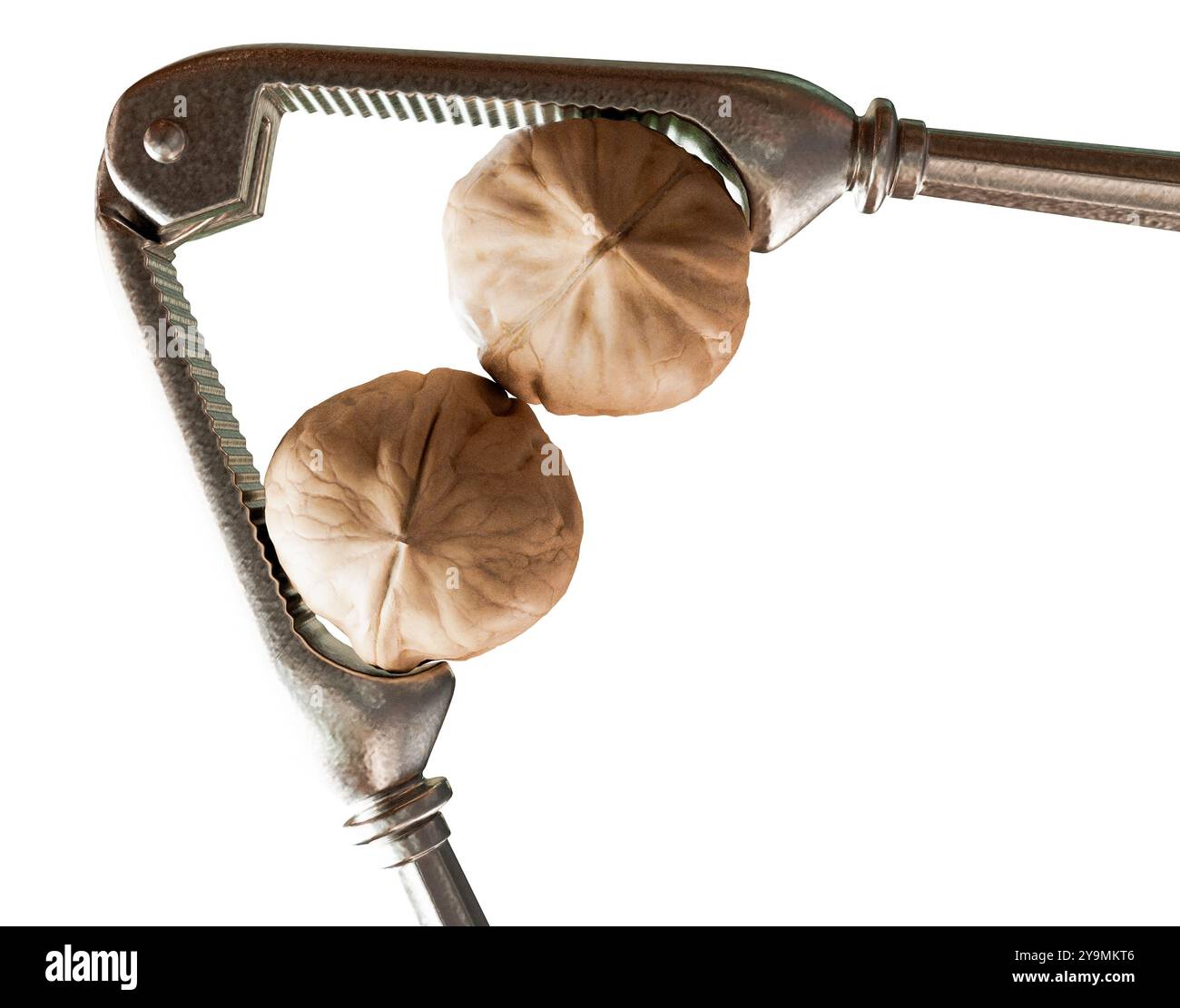 An antique metal nutcracker squeezing two walnuts on an isolated background - 3D render Stock Photo