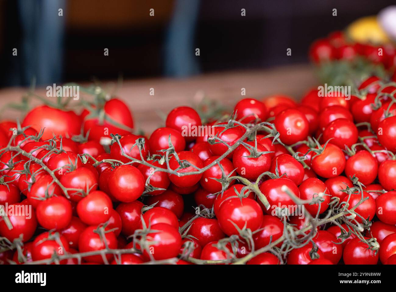 A bunch of juicy red vine tomatoes for sale at a local market stall ...