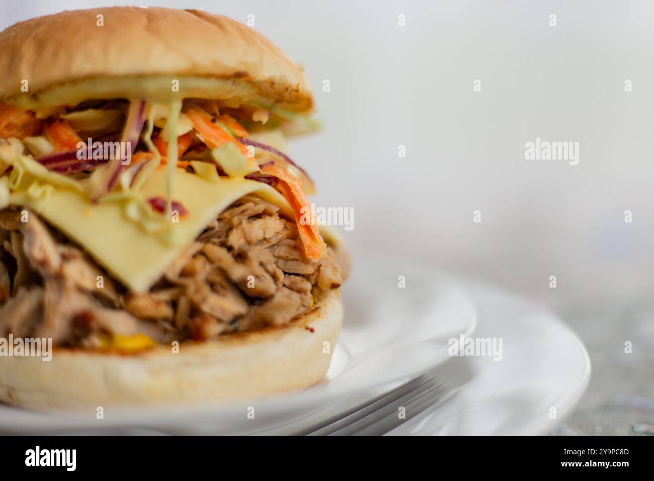 Homemade burger with meat and slaw Stock Photo