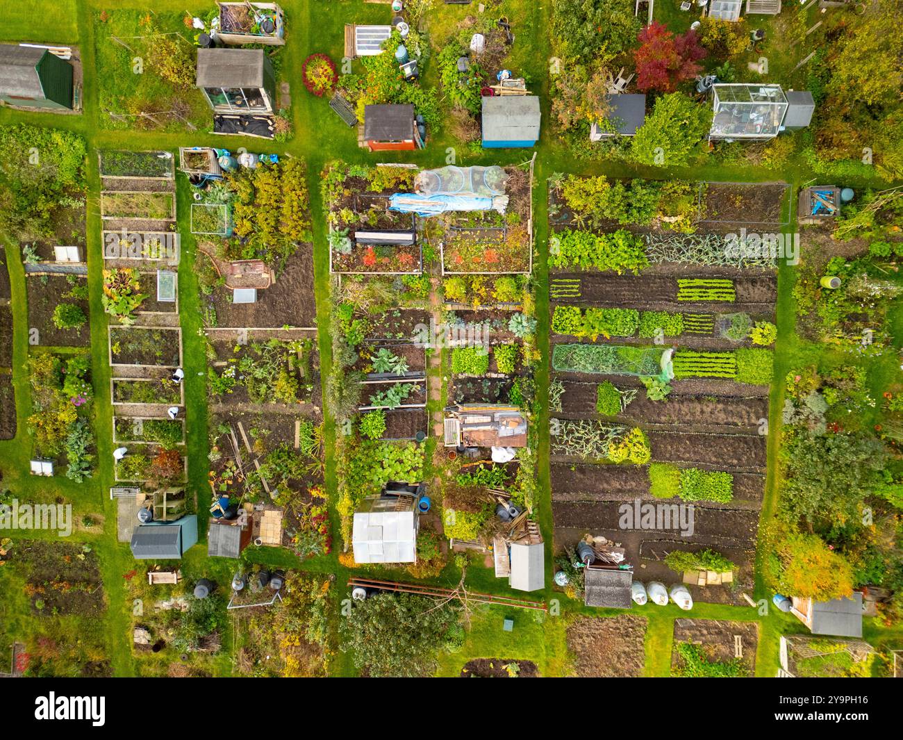 Aerial view of Inverleith allotments Edinburgh, Scotland, UK Stock Photo