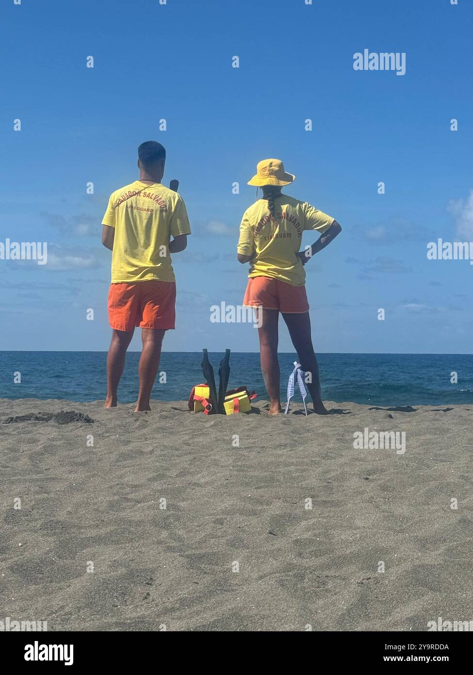 Lifeguard on a black sand beach in São Miguel Island, Azores, Portugal, with flippers and rescue can, on a sunny summer day. - Smartphone Captured Stock Image