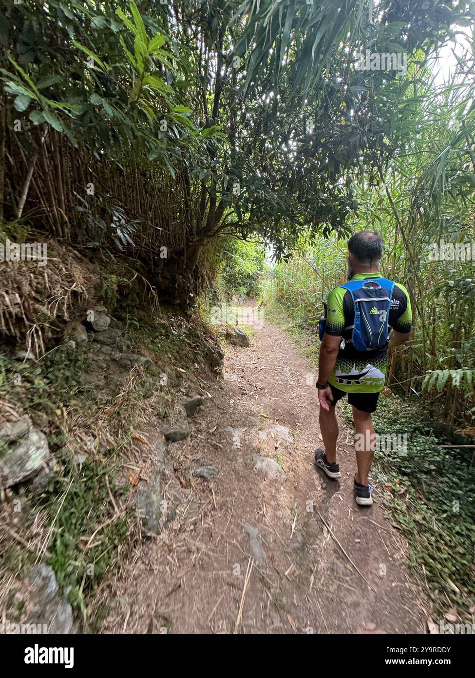 Hiker walking along a forest trail on São Miguel Island in the Azores, Portugal. - Smartphone Captured Stock Image