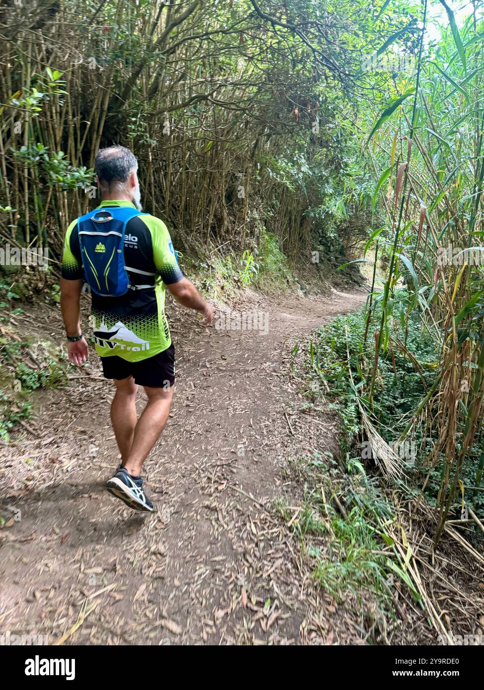 Hiker walking along a forest trail on São Miguel Island in the Azores, Portugal. - Smartphone Captured Stock Image