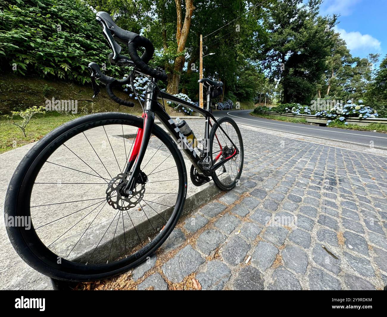 Road bicycle parked on a cobblestone roadside amidst lush greenery in the Azores, Portugal. - Smartphone Captured Stock Image